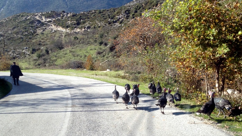 I LOVE TURKEY