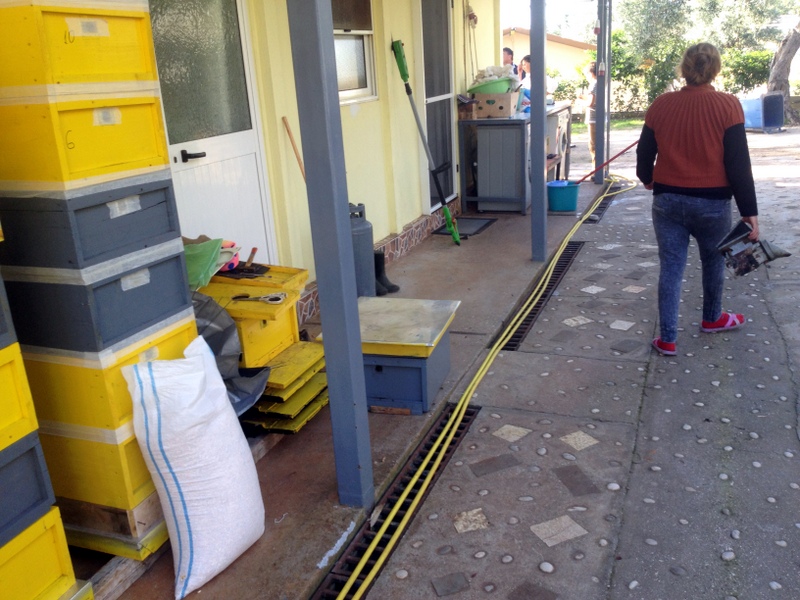 ACTIVE BEE BOXES