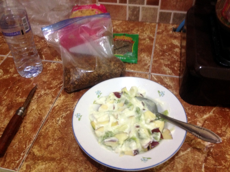 HOMW GRANOLA AND YOGURT