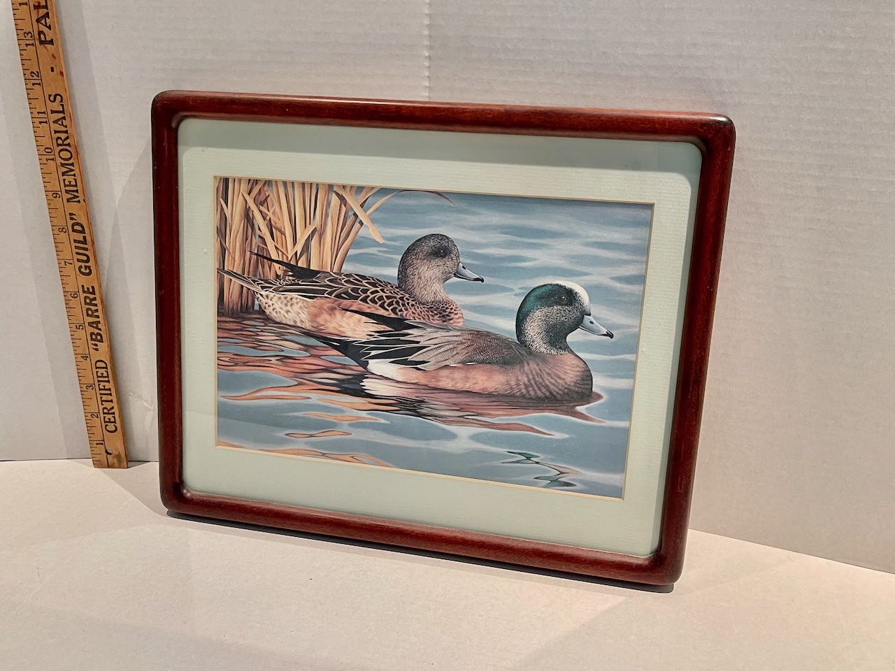 Wall Art - Ducks