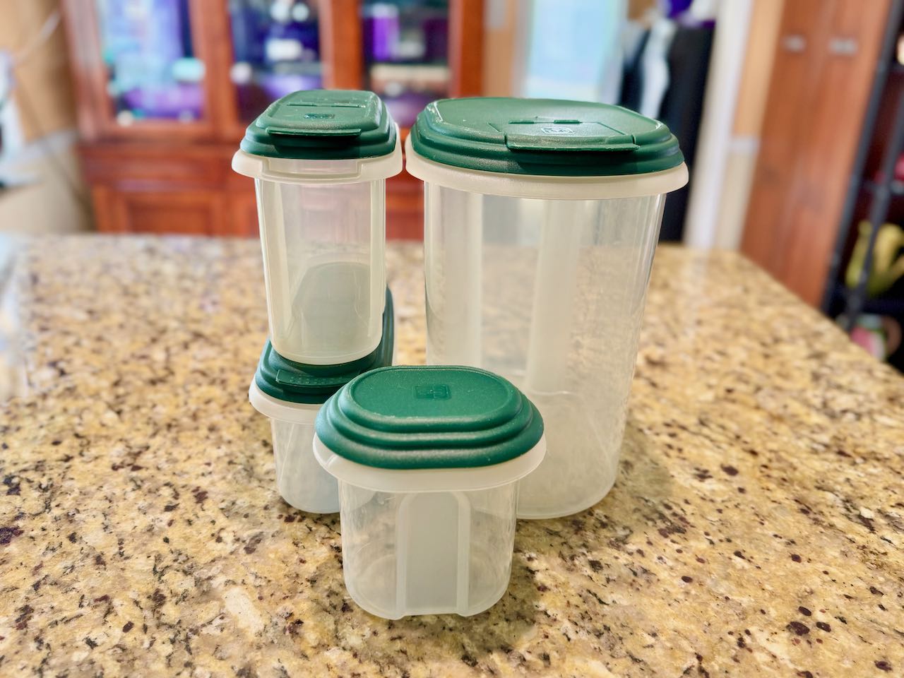 4 Food Storage Container