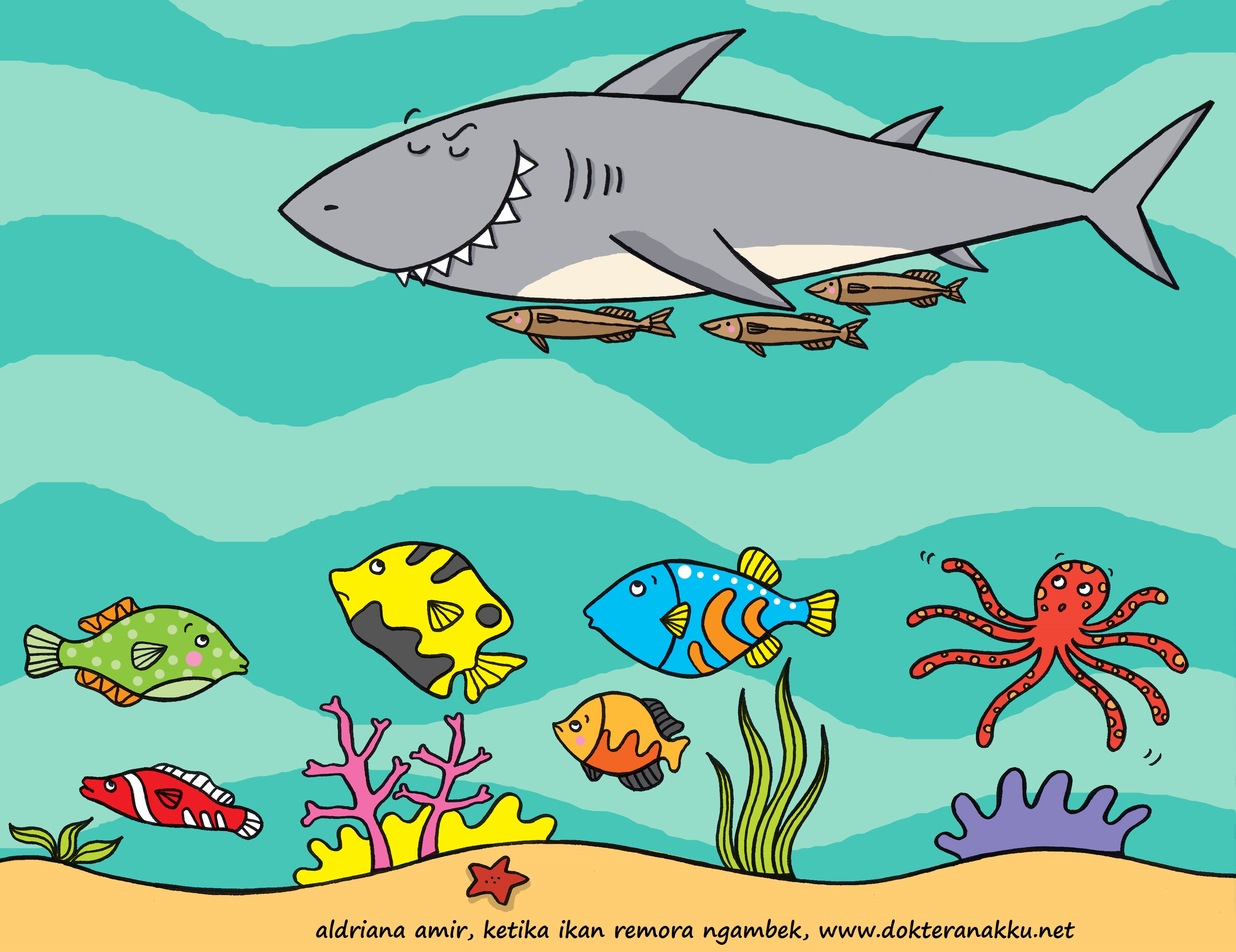 Contoh simbiosis pada ikan dan gambarnya mutualisme gambar ikan hiu dan ikan remora simsiosis mutualisme . Ikan Remora Unknown