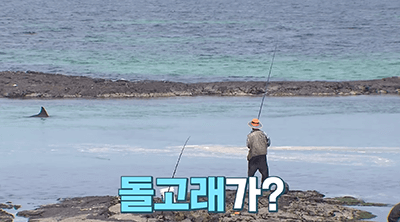 동쪽 돌고래 스팟 