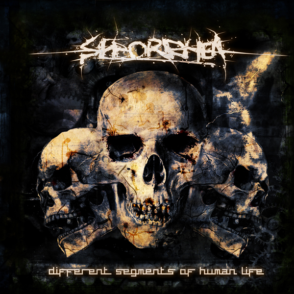 Seborrhea - Different Segments Of Human Life