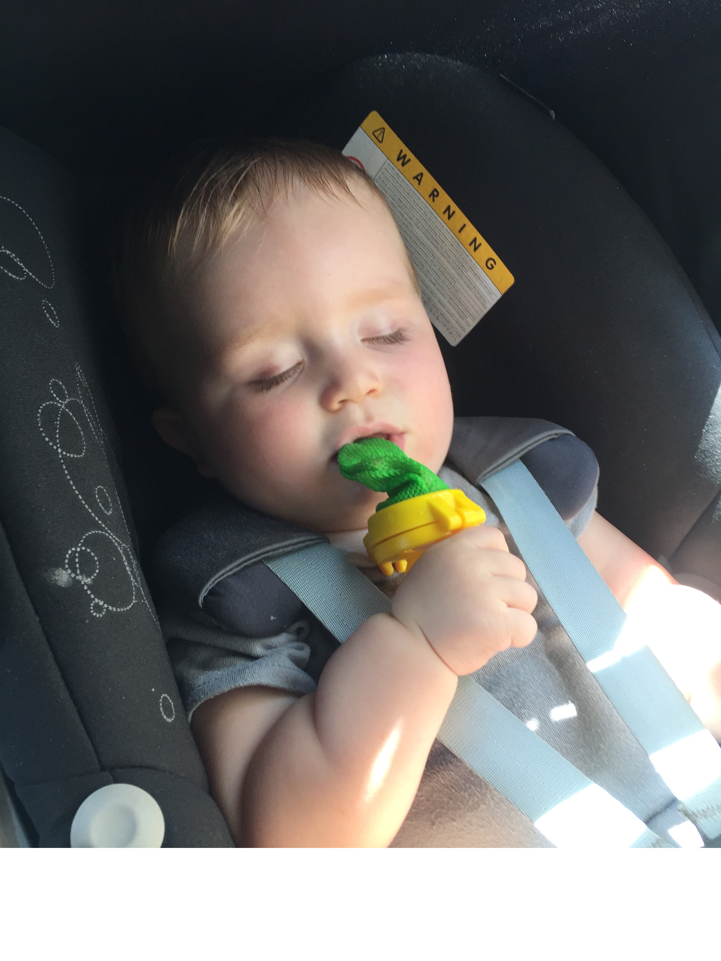 He loved this fresh fruit feeder so much he occasionally fell asleep sucking on it.