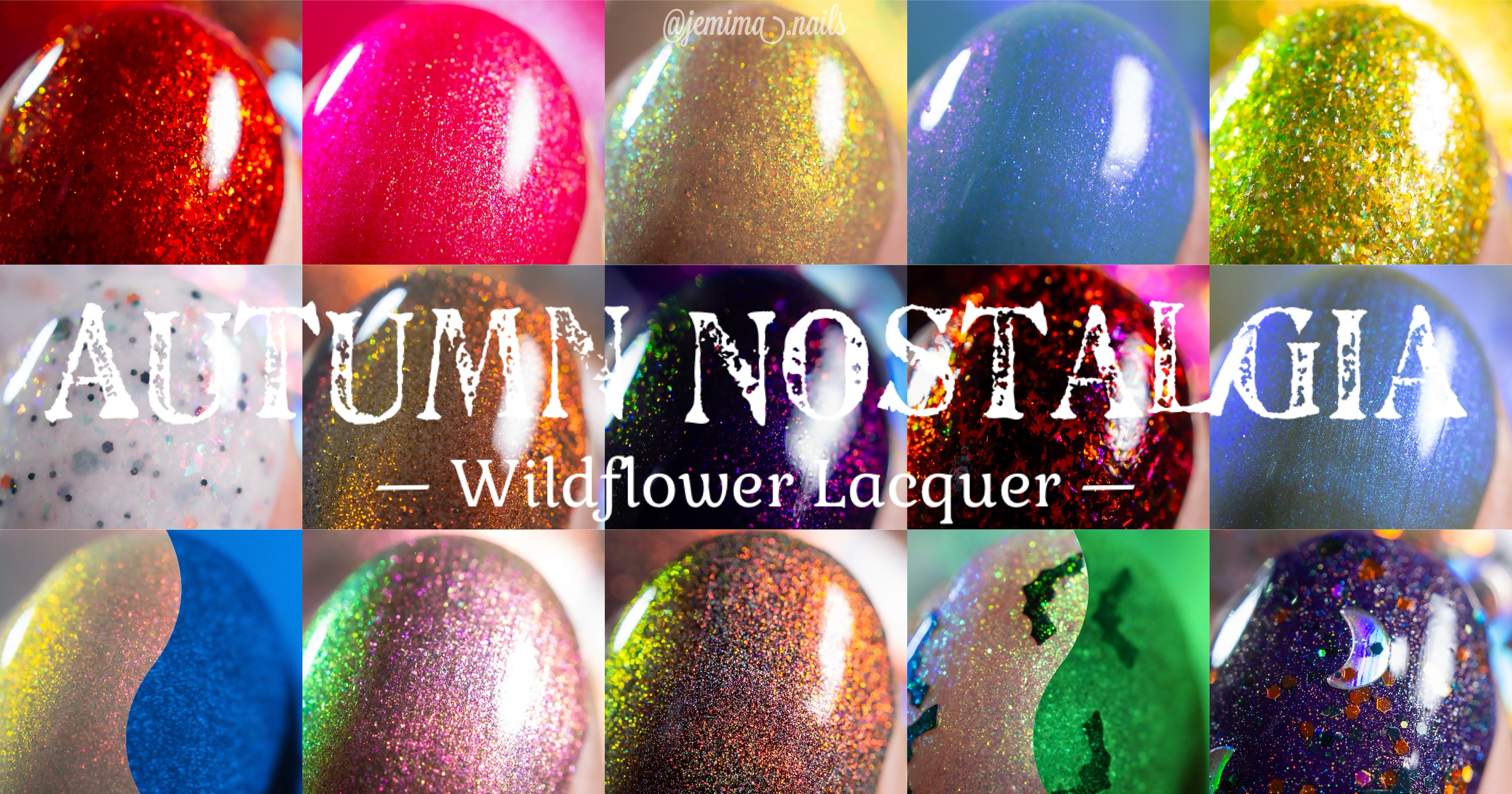 🇺🇸 Wildflower Lacquer Autumn Nostalgia & September 24′ Launch