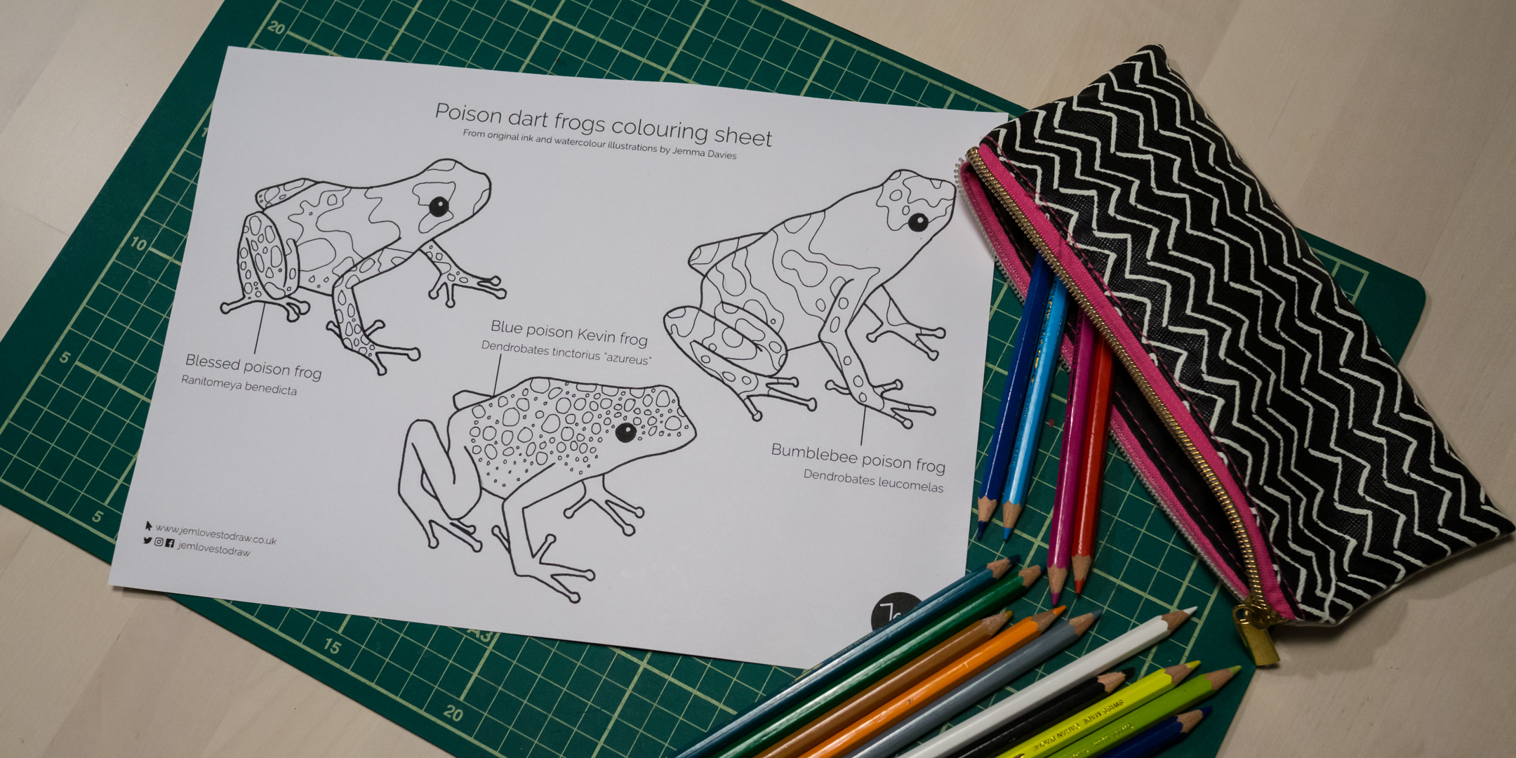 You are on page 1of 1. Free Poison Dart Frogs Colouring Sheet Jemlovestodraw