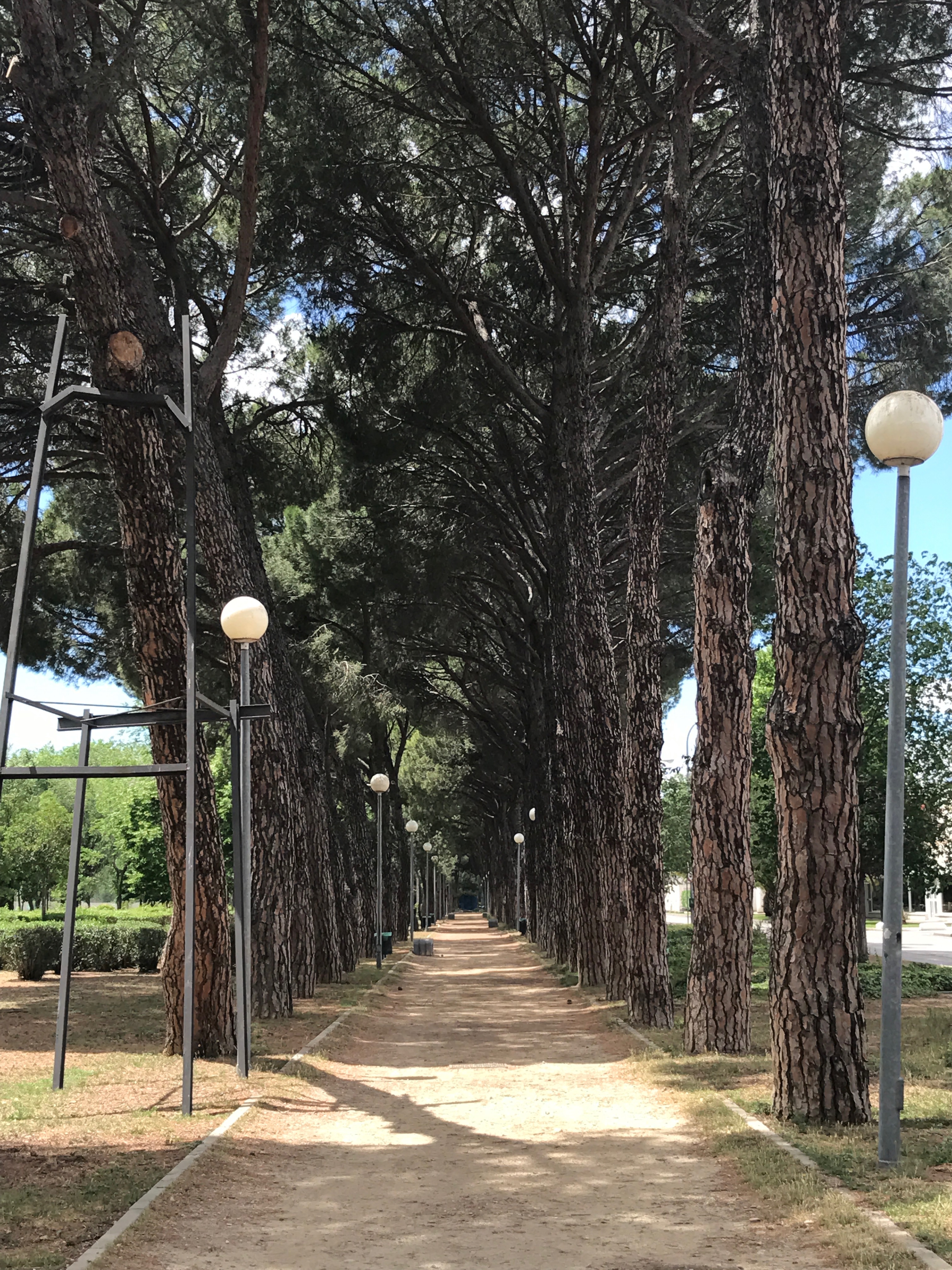 Walks to lunch in Madrid