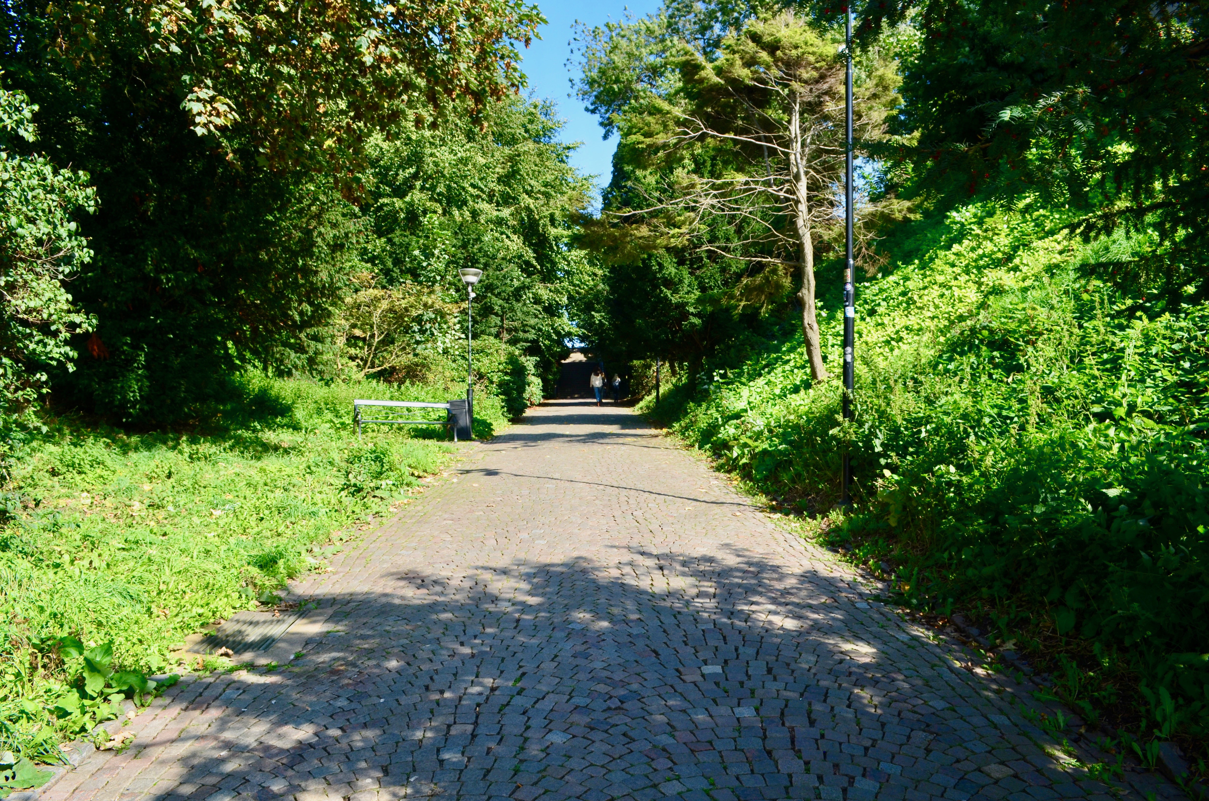 The path less traveled