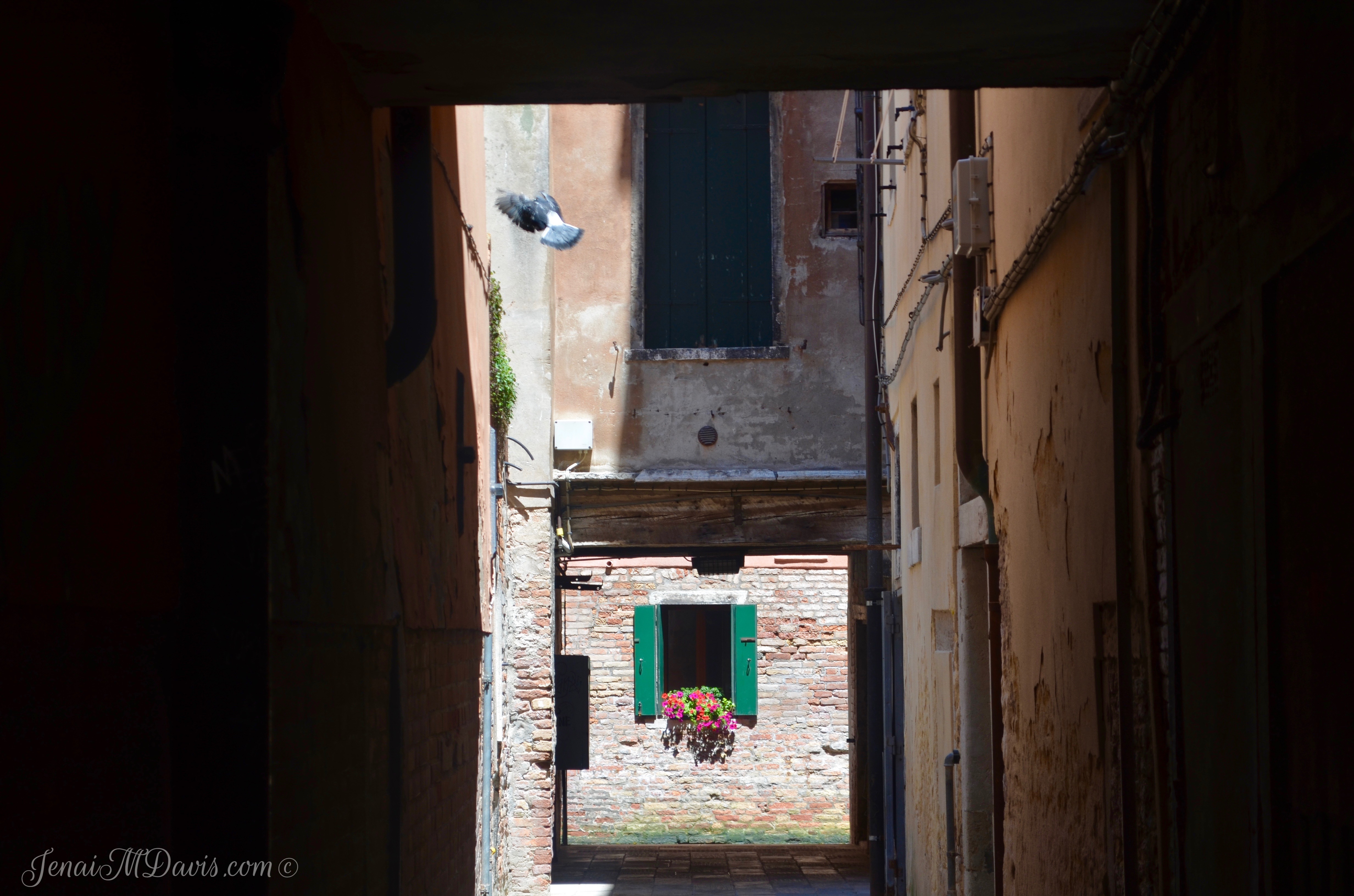 The quiet beauty of the Venice streets
