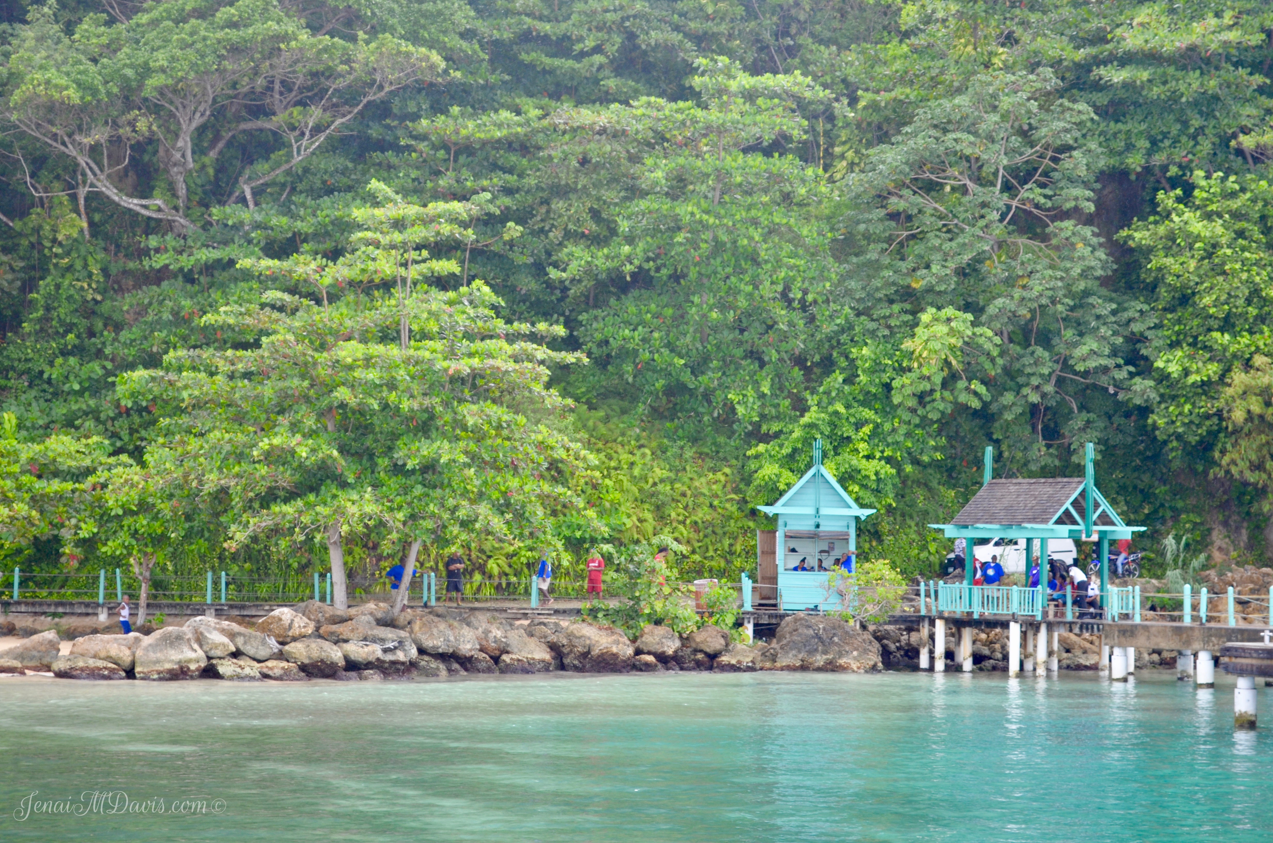Before we knew what we had signed up for at Dunn's River Falls