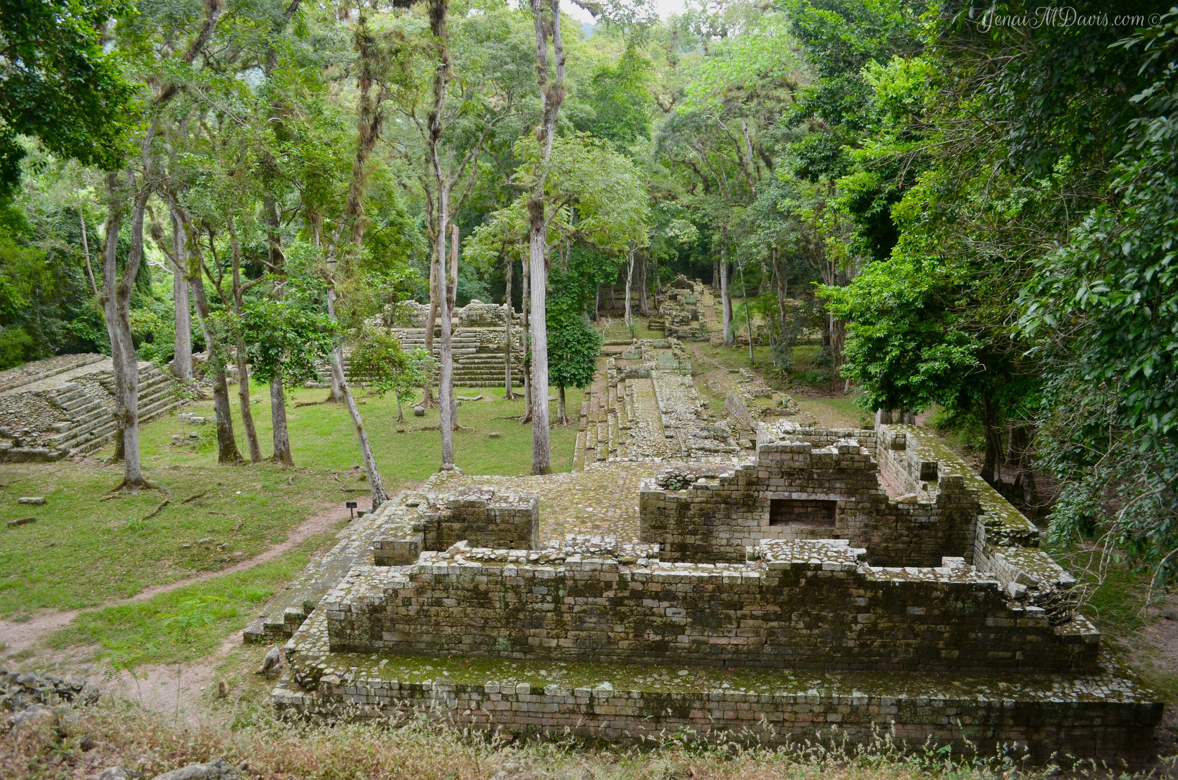 This is where the wealthy parlayed