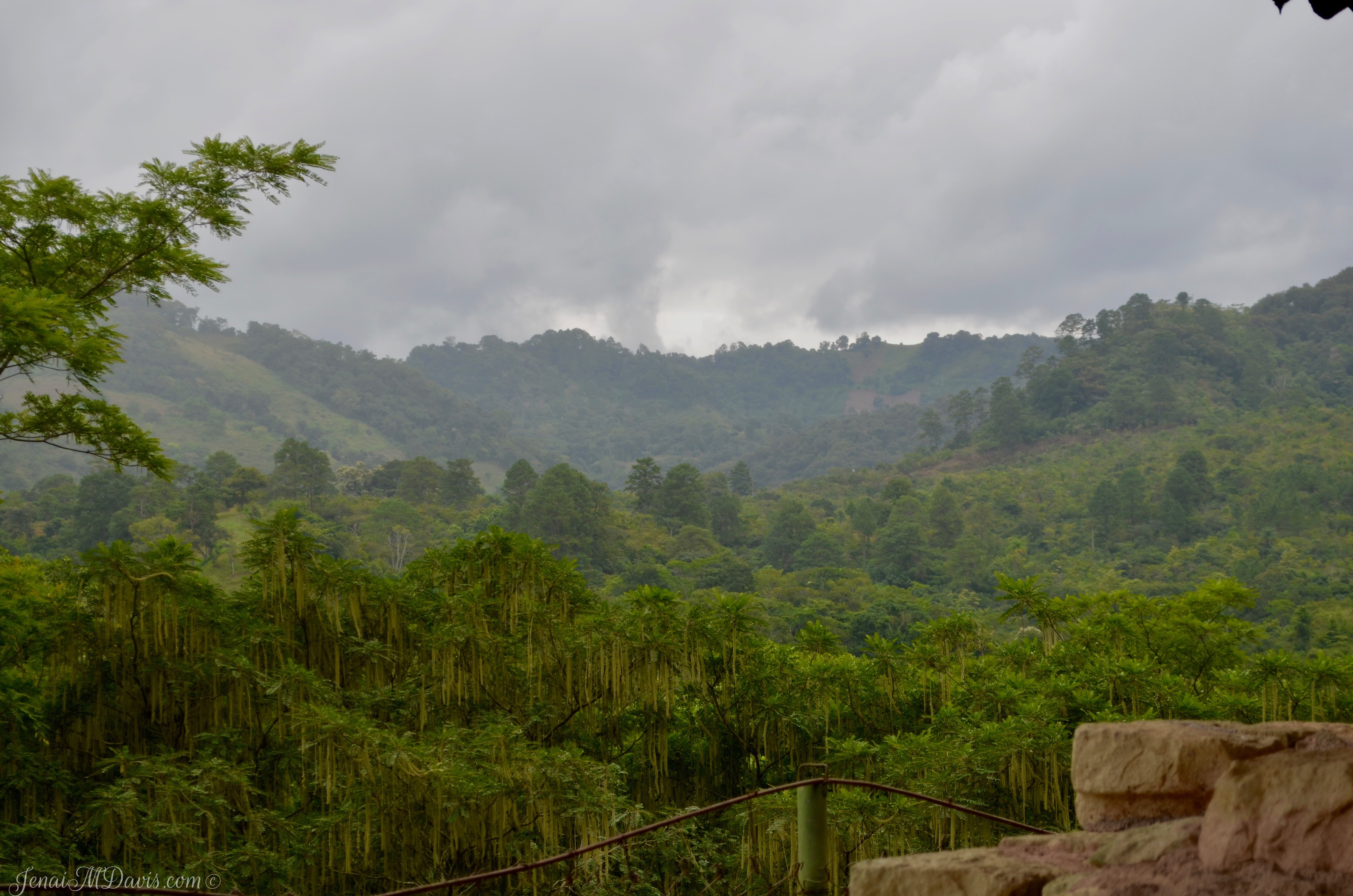 Views from the top of the hill