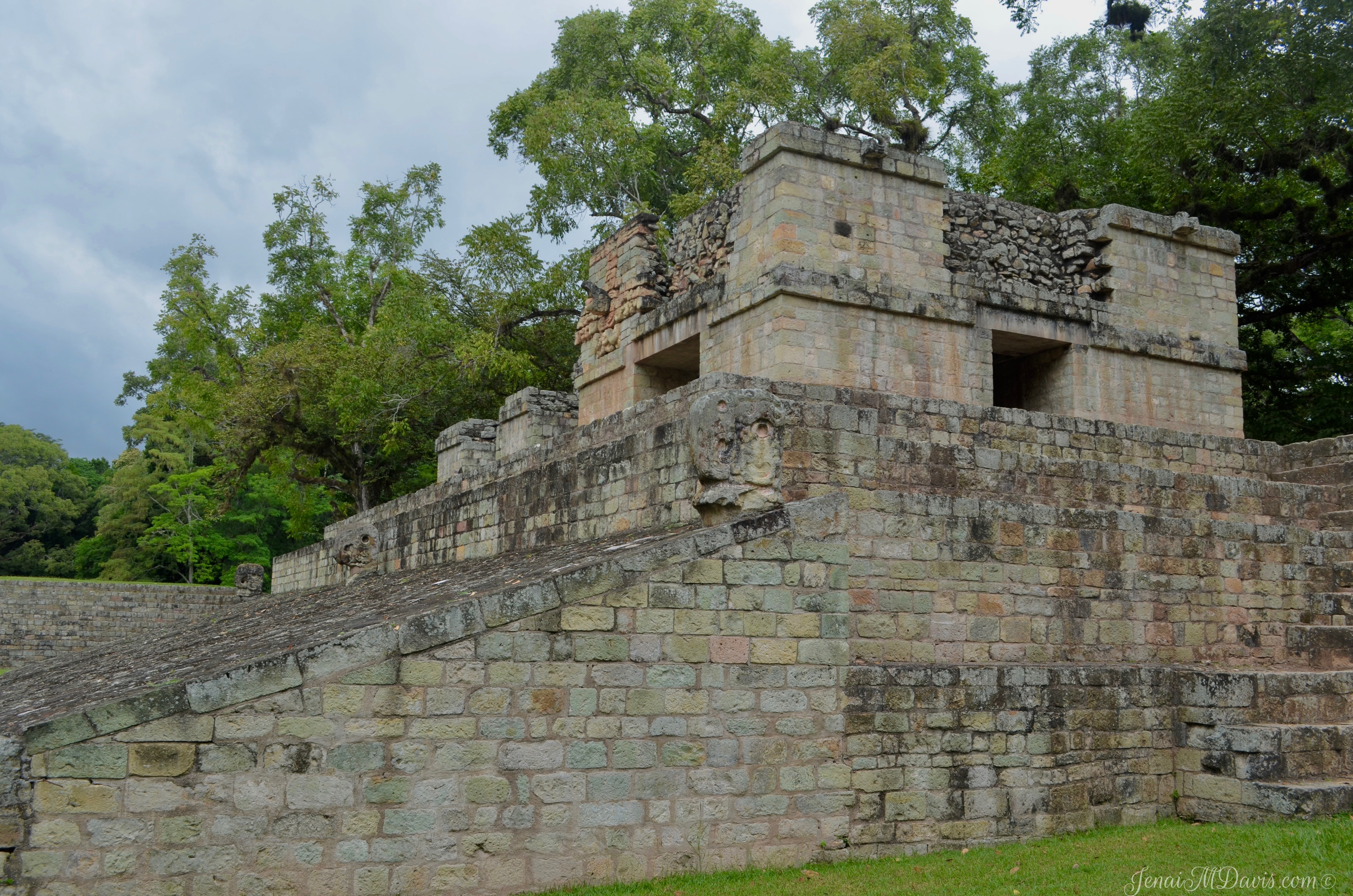 This is in the arena where social activities and games occurred