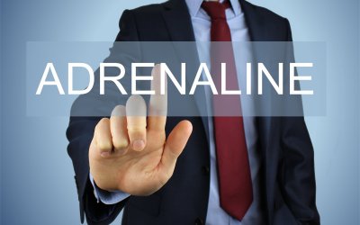 Panic Attack Disorder:                                                                                   Strategies to Control Adrenalin Surges