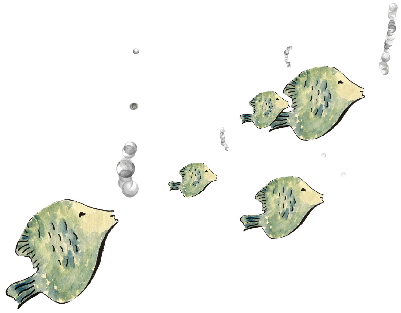 Swimming fish with air bubbles