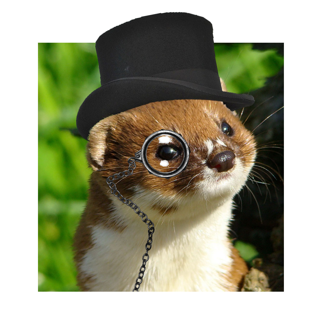 Charming Weasel Logo