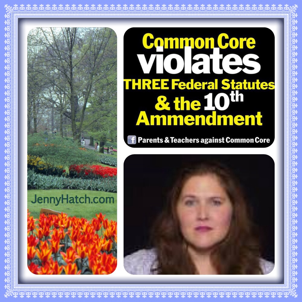 Stop Common Core Meme by Jenny Hatch 5