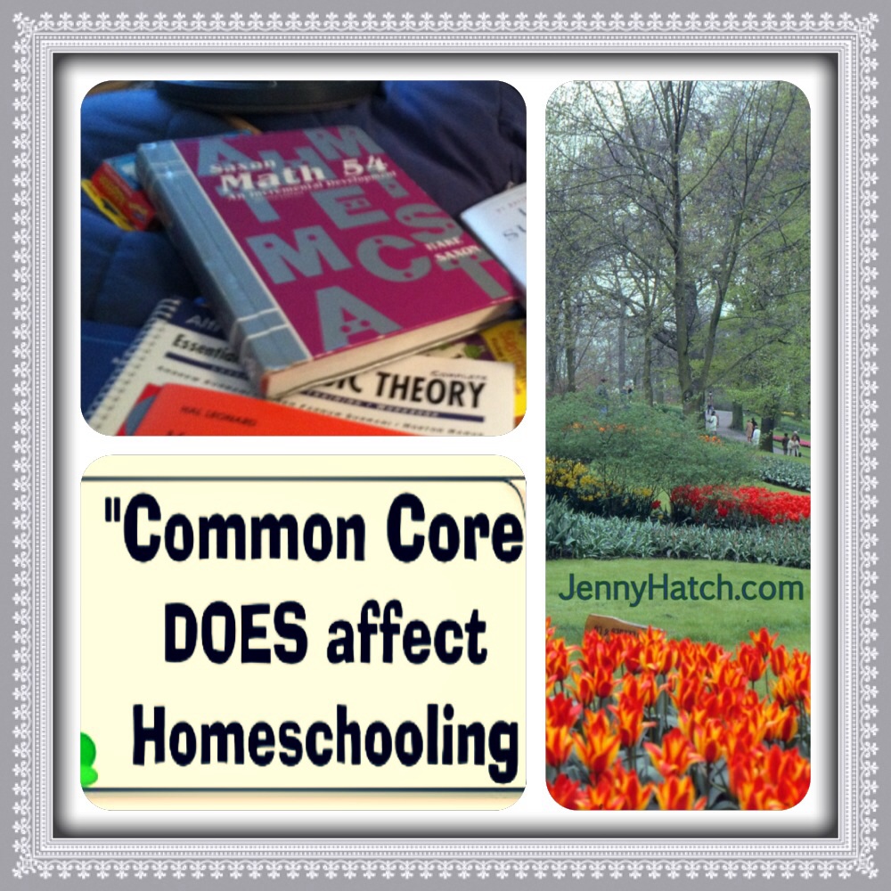 Stop Common Core Meme by Jenny Hatch 4