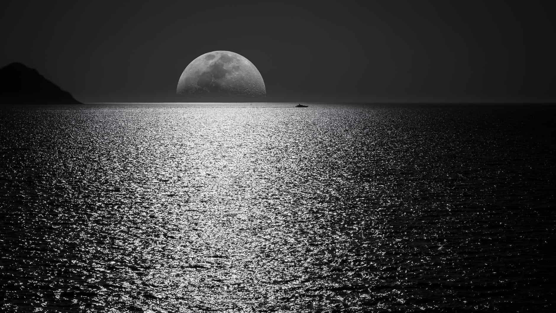 Who Doesn’t Love the Moon