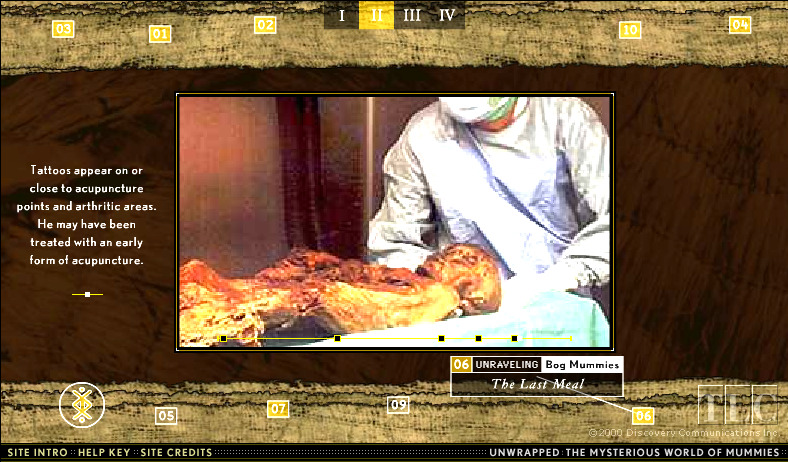 unwrapped-the-mysterious-world-of-mummies_3176928075_o