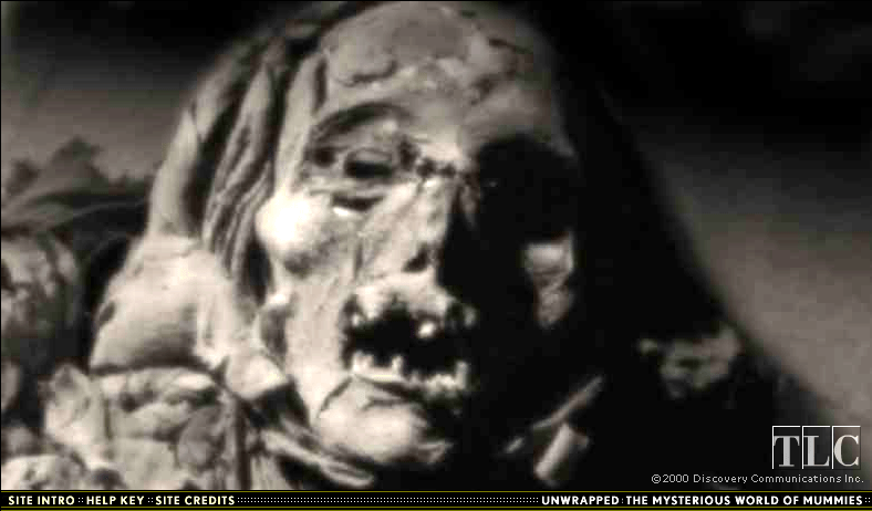 unwrapped-the-mysterious-world-of-mummies_3177763550_o