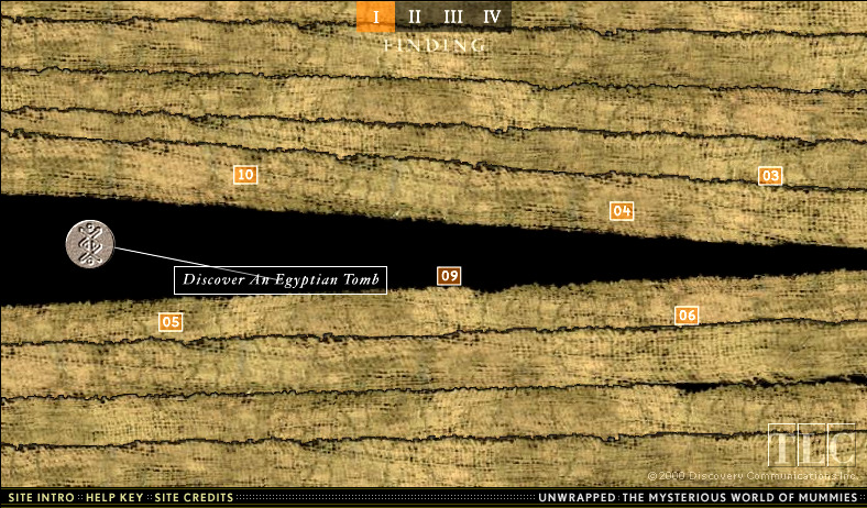 unwrapped-the-mysterious-world-of-mummies_3177764072_o