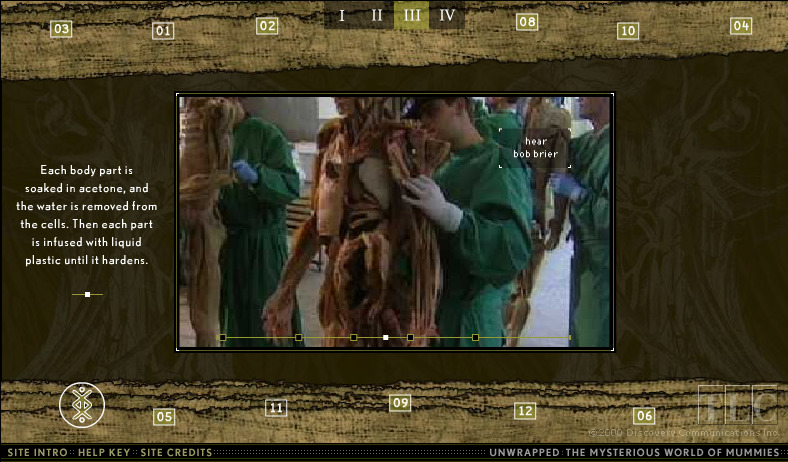 unwrapped-the-mysterious-world-of-mummies_3401682003_o