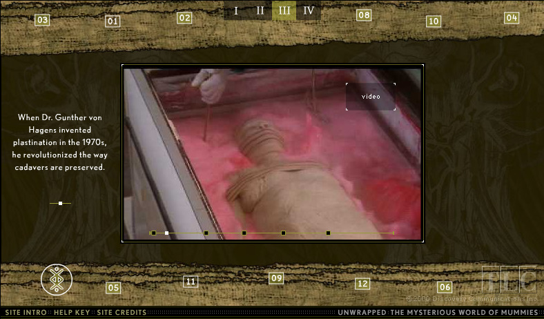 unwrapped-the-mysterious-world-of-mummies_3401682129_o