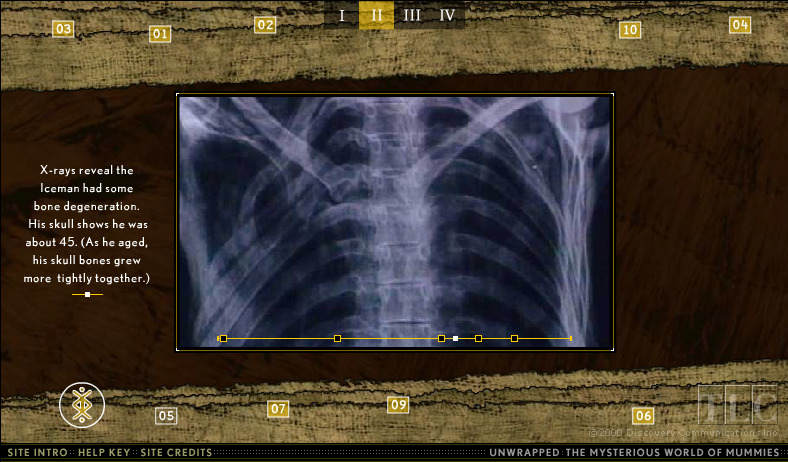 unwrapped-the-mysterious-world-of-mummies_3401682359_o