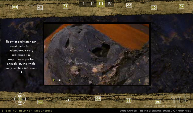 unwrapped-the-mysterious-world-of-mummies_3402486840_o