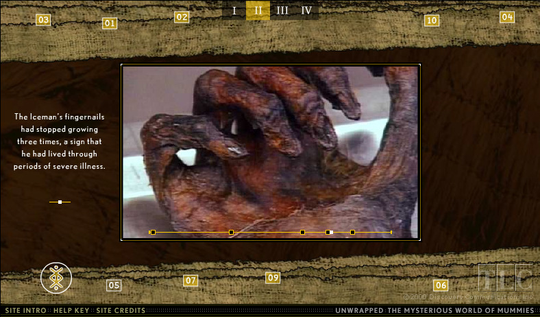 unwrapped-the-mysterious-world-of-mummies_3402487380_o