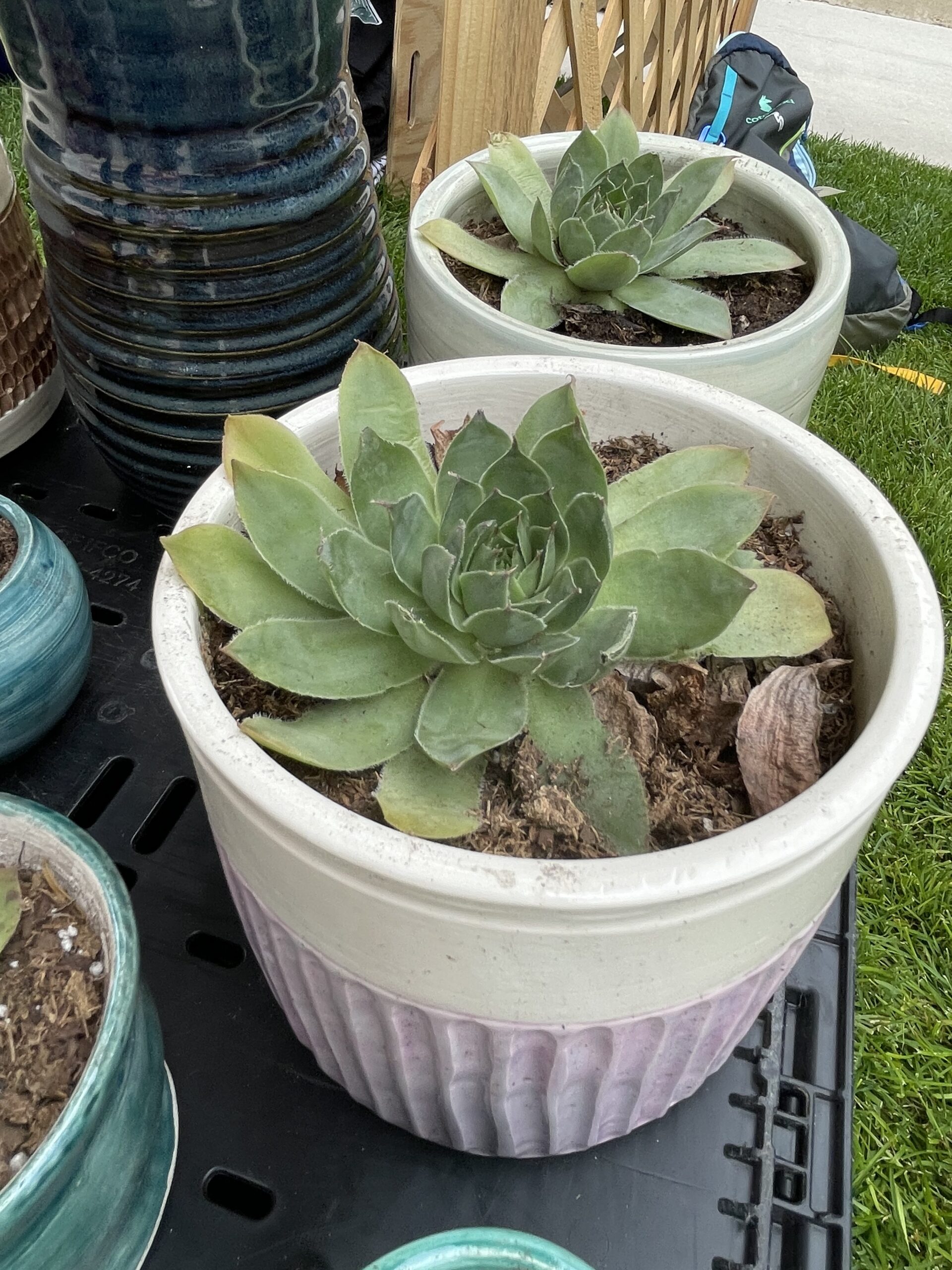 ceramic pottery, handmade, custom orders, custom pottery