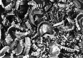 Auschwitz Dentures