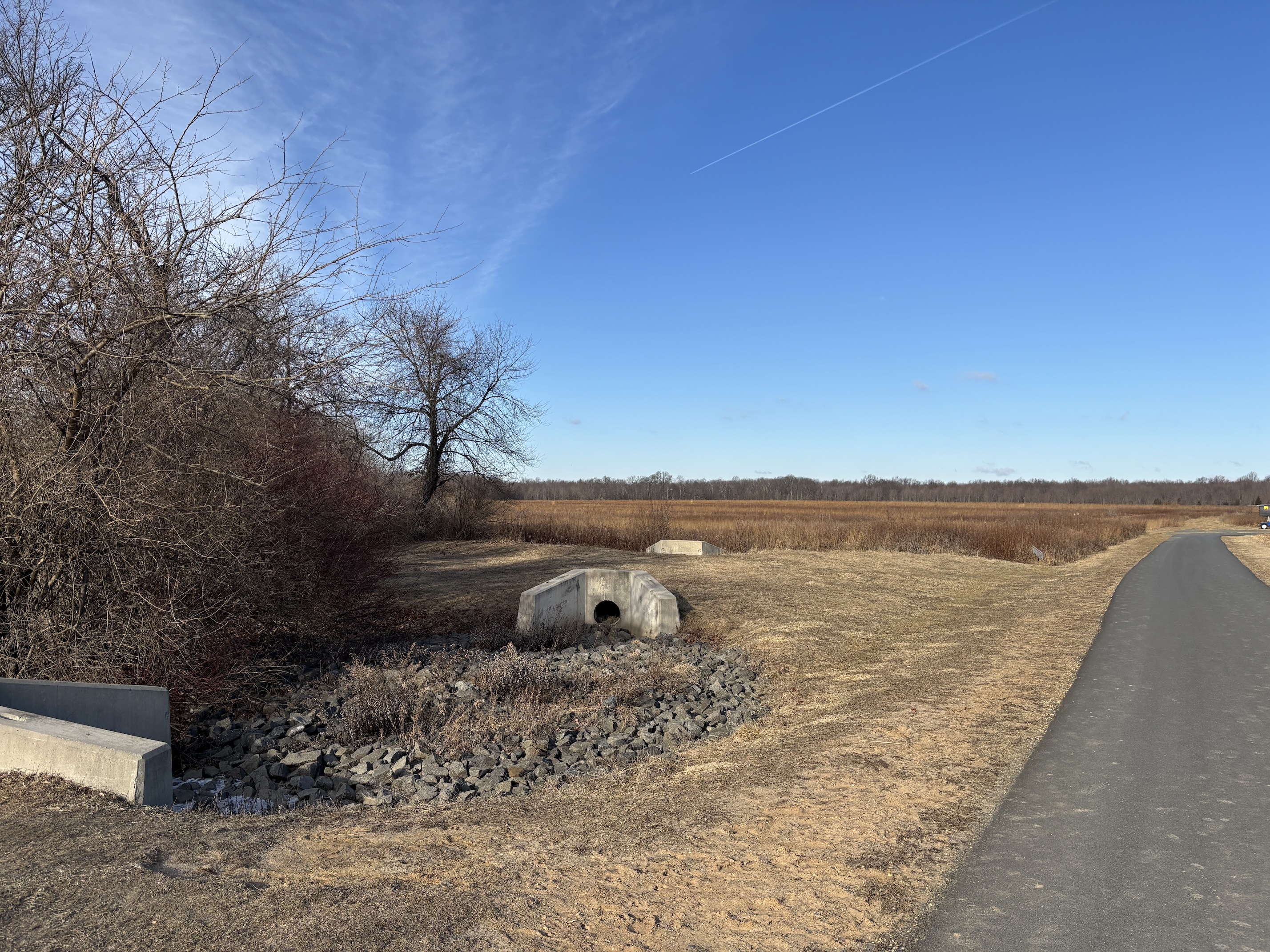Trail leading into the Mercer Meadows Pole Farm, with trees on the left and a dirt path at center.