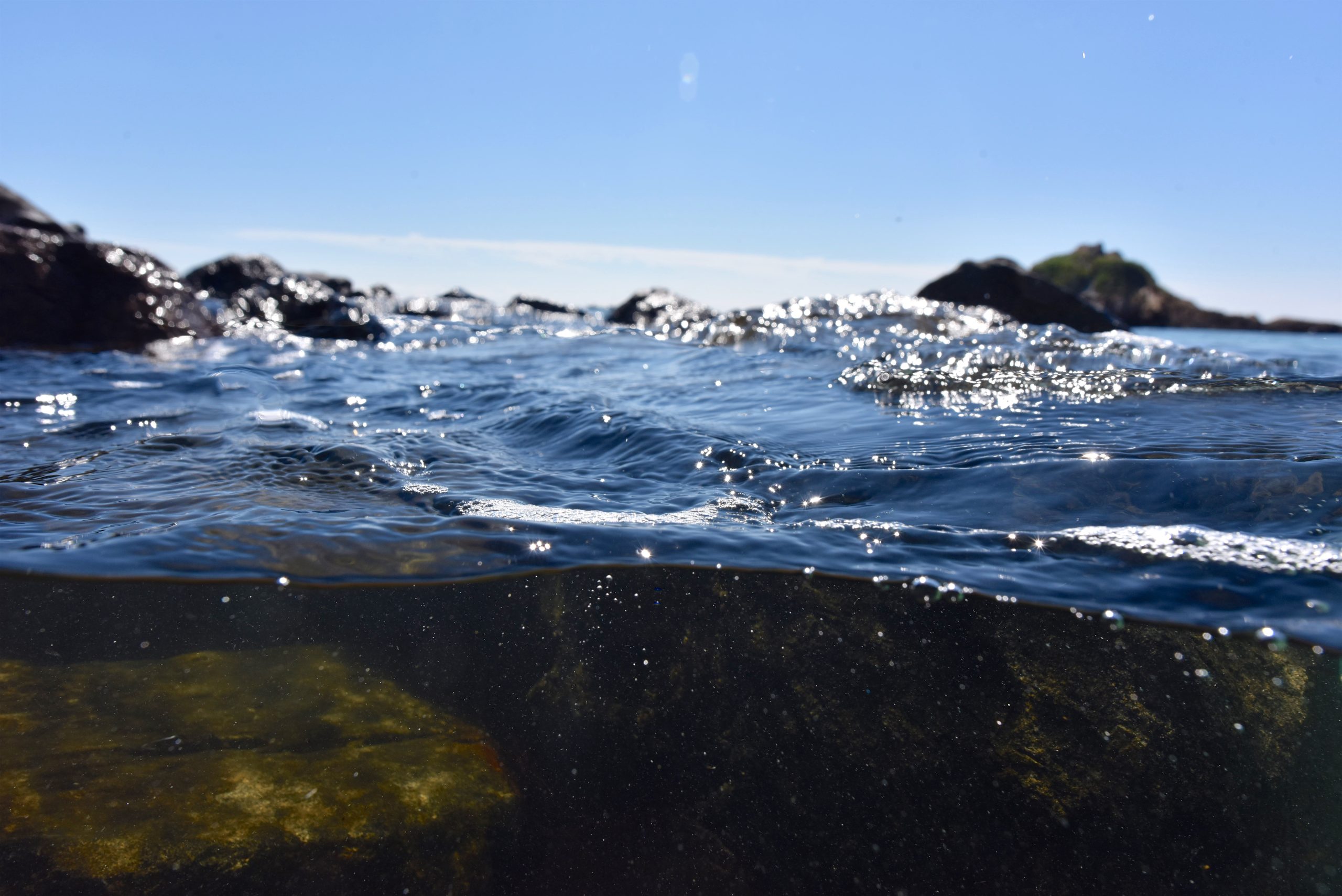 Jersey's Marine Protected Area network expands to 21.7% of territorial waters