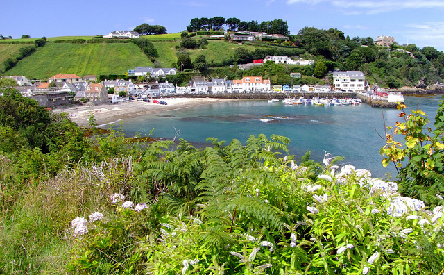 Resistance Nest Wn Rozel Fort Le Ctillon Hoard found in 1957 of over 2500 Celtic coins representing tribes in Armorica and Gaul as.