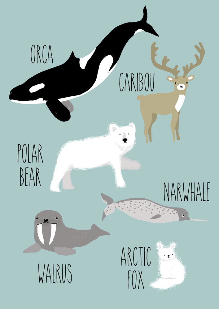 Arctic Things