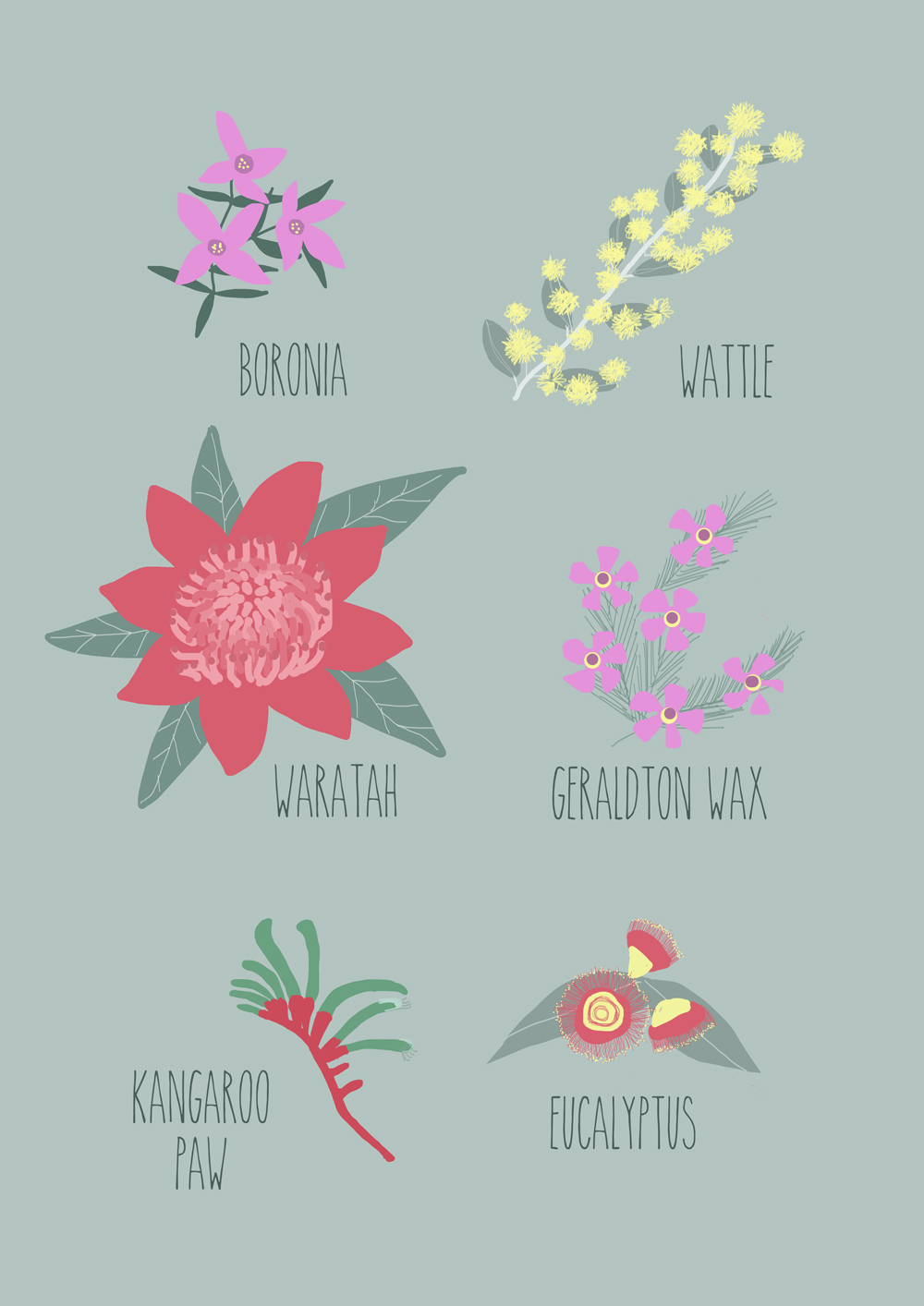 Australian Flower Things