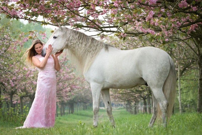 Hilfe Was Ziehe Ich Zum Fotoshooting Mit Pferd An