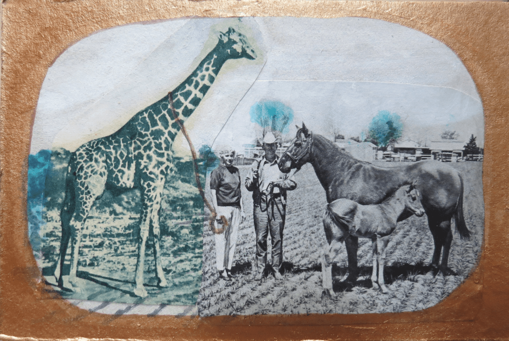 "Pets" technique mixte collage/dessin 10x15cm