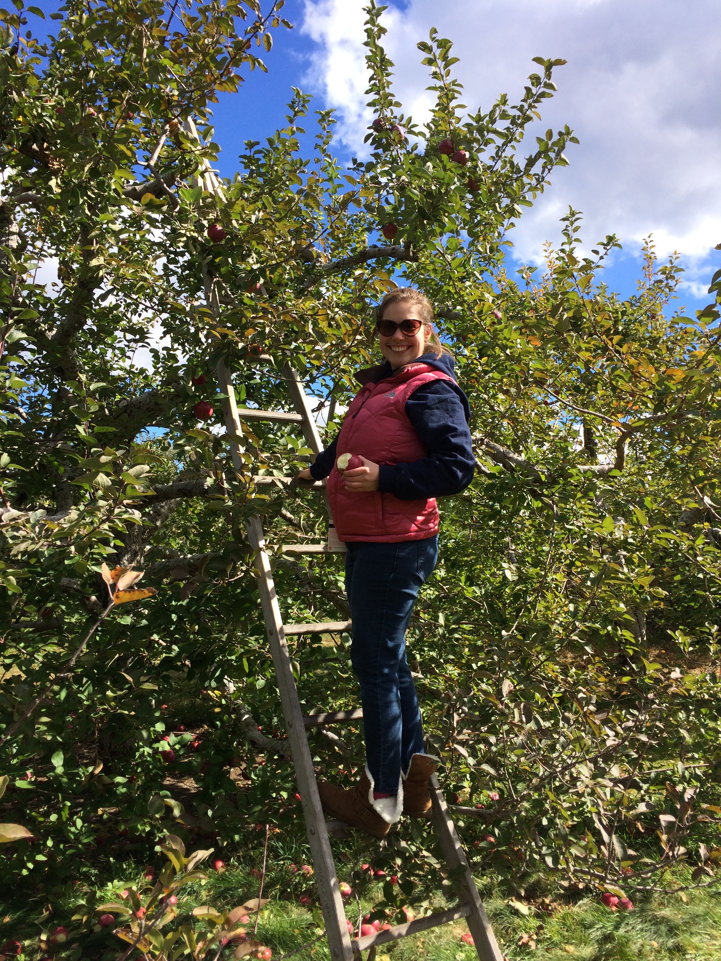 Classic New England fall activites