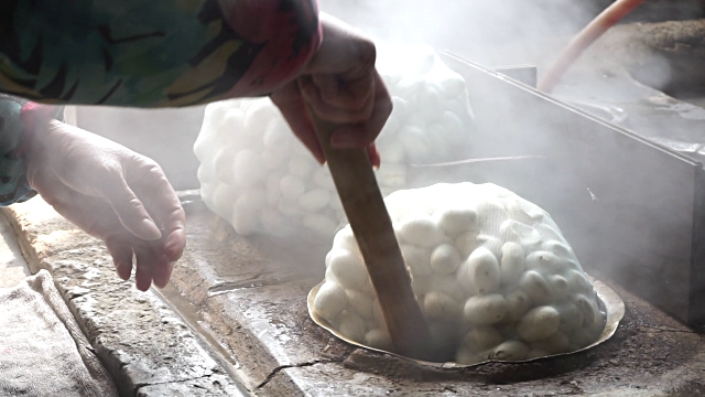 Cocoons being boiled