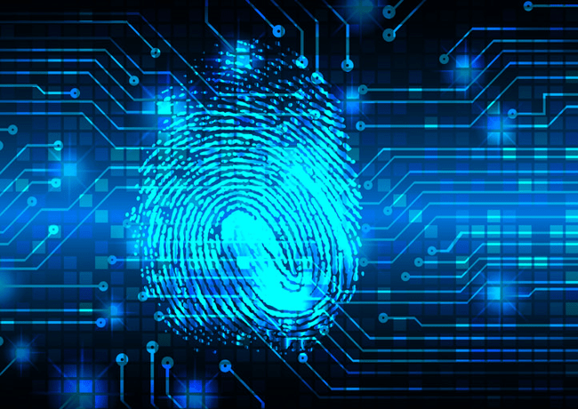 Fingerprint with connections