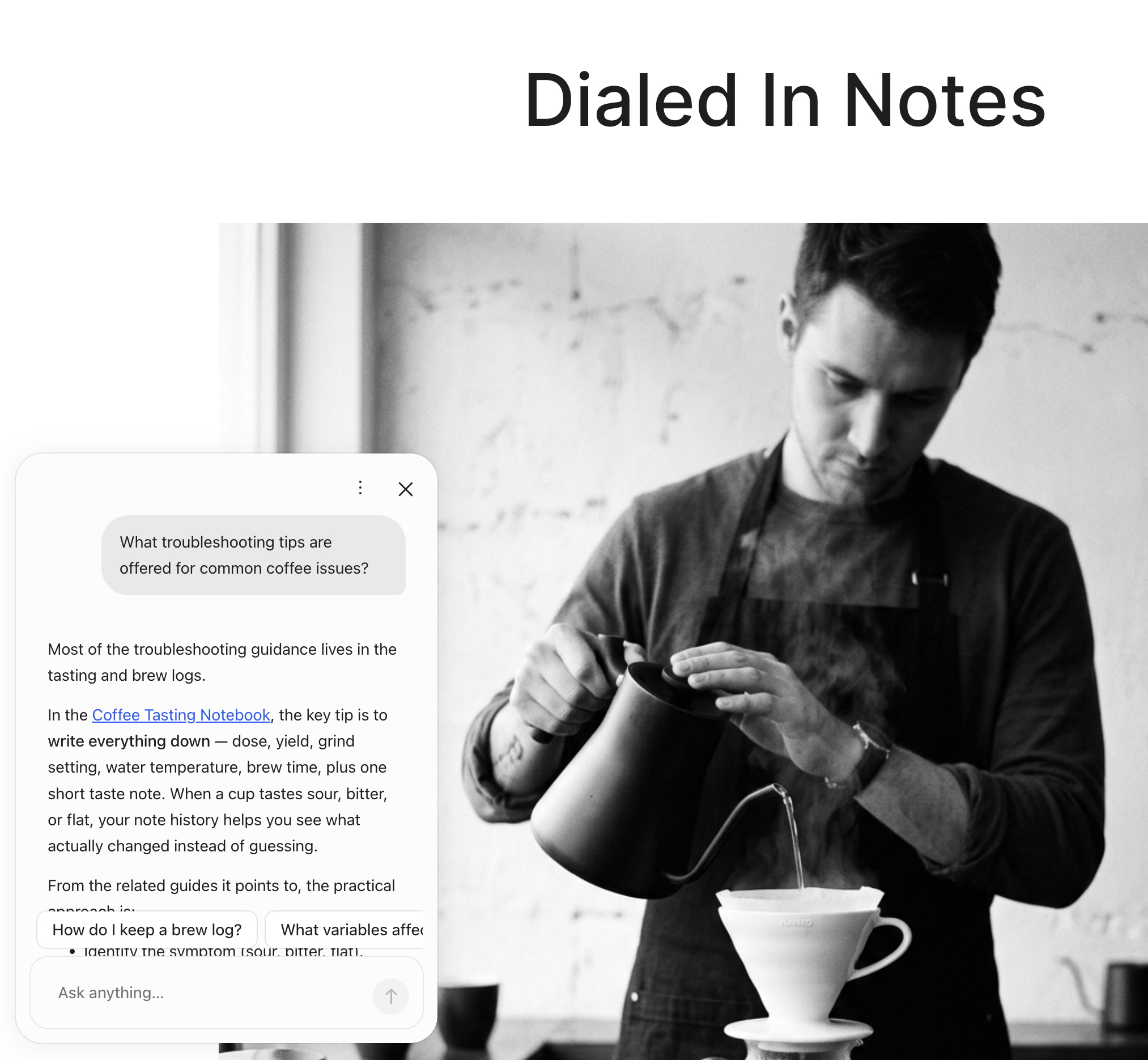 Introducing Site Chat, Powered by Jetpack Search