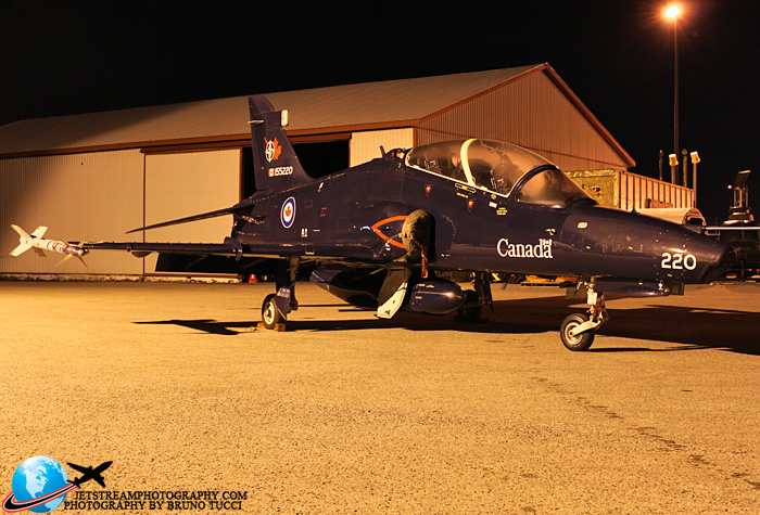 hawk2