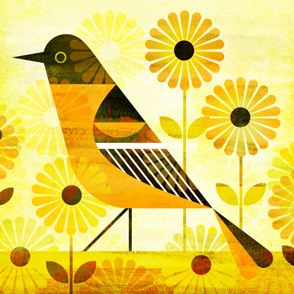 Do you know them all? Scott Partridge State Birds And Flowers