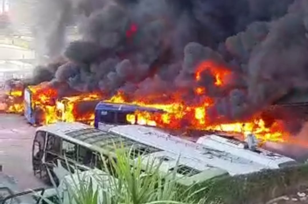 WhatsApp Image 2021-08-24 at 15.18.41