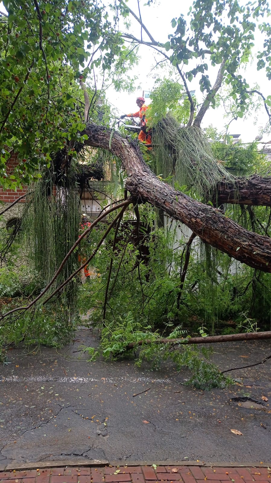 WhatsApp Image 2021-10-12 at 10.46.24 (1)