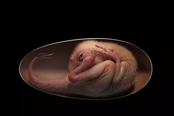 WhatsApp Image 2021-12-22 at 09.03.13